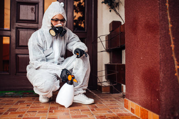Reliable Ant Control contractor in Inglis, FL by Nex Pest Control